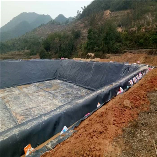 您了解魚塘防滲膜施工方法有哪些嗎？